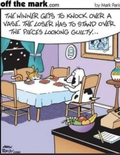 22:14:29 GMT-0600 (CST)