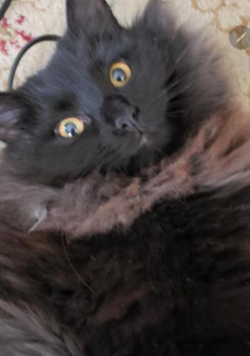 05:00:41 GMT-0600 (CST)