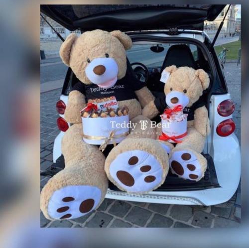 02:37:28 GMT-0800 (PST).image