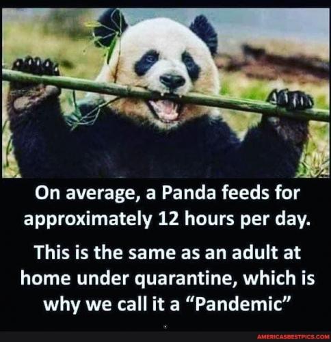 08:30:46 GMT-0600 (CST).image