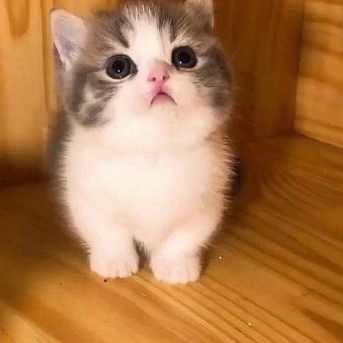 21:24:29 GMT+0100 (WAT)