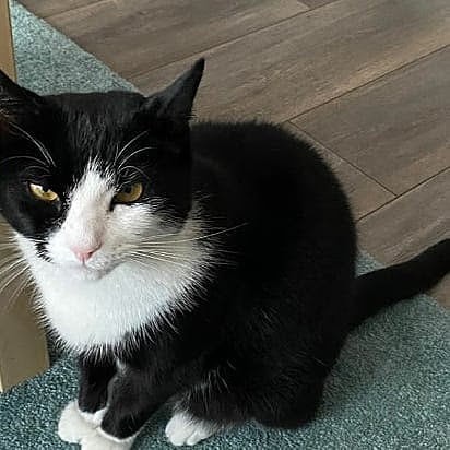 17:56:43 GMT+0100 (WAT)