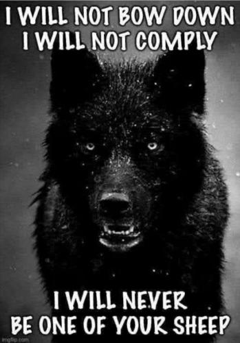 #Patriots ?? @OsPando ? #FigthBack