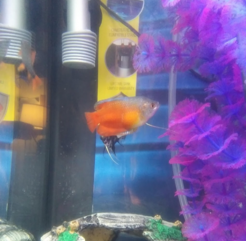 05:20:20 GMT-0600 (CST)