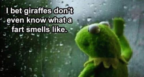 16:33:30 GMT-0700 (MST).image