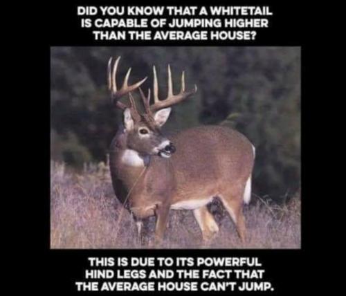 07:19:18 GMT-0500 (EST)