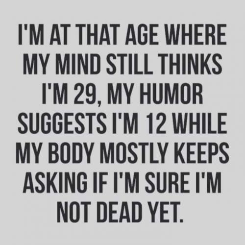 86ba73fc9d33cb75b82d47df6232bc24_InPixio