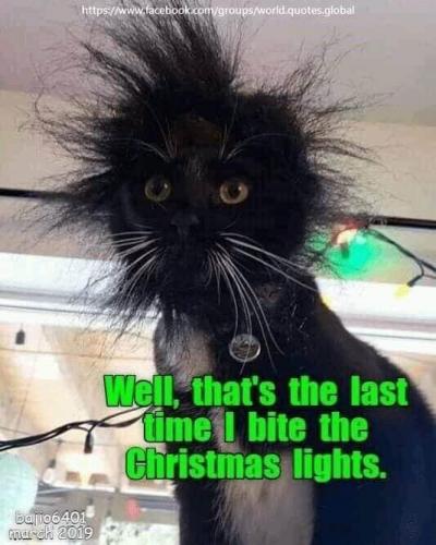 00:54:04 GMT-0800 (PST).image