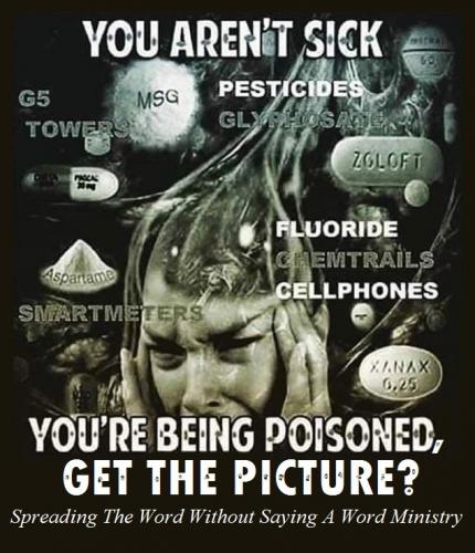 3bc3aa27fa55ed9ef65f8d076832cd46_1024