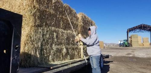 19:42:21 GMT-0800 (PST).image