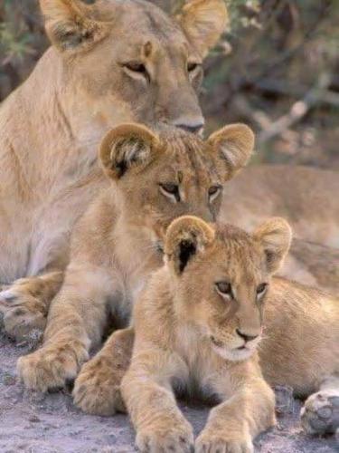 07:21:04 GMT-0600 (CST)