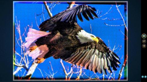 QVZlUlMxQUx5WTNydURUVQ