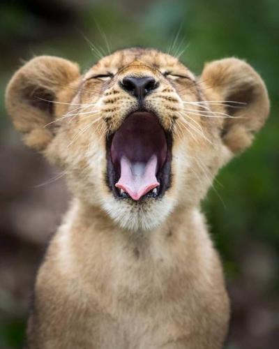 129571715_3332875873500986_3851114629195169334_n