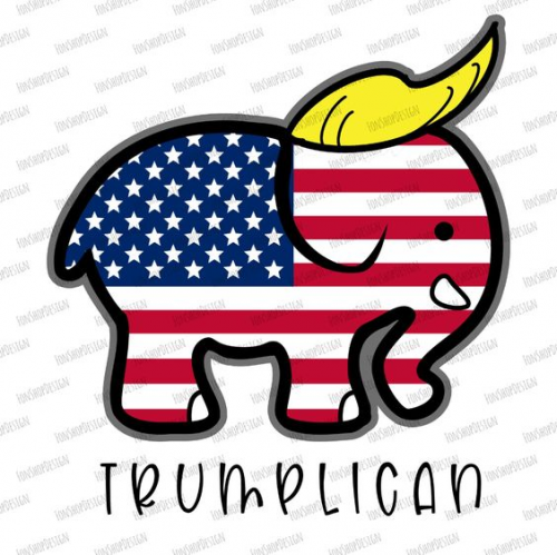 image_2020-12-28_182456