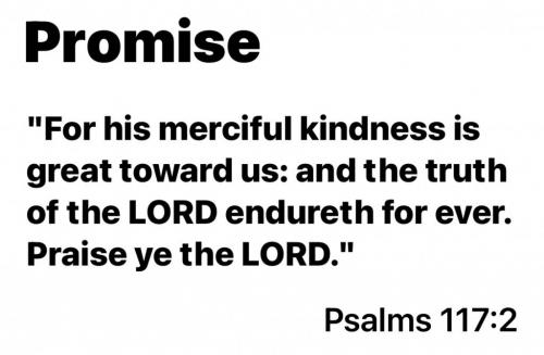 D3F076D6-4AA0-4B05-AF3A-3D479FF84A35