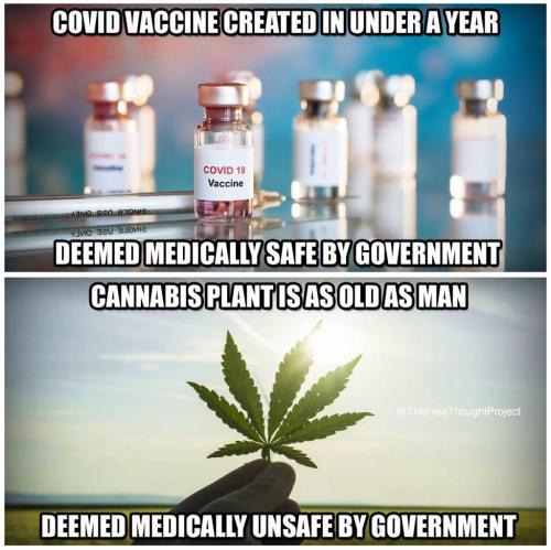 130709845_2442838196023380_7474937647435297924_o