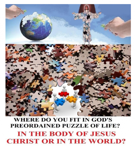 132830174_378051499959303_5775604159488917874_n