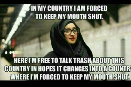 11:52:41 GMT-0500 (EST)