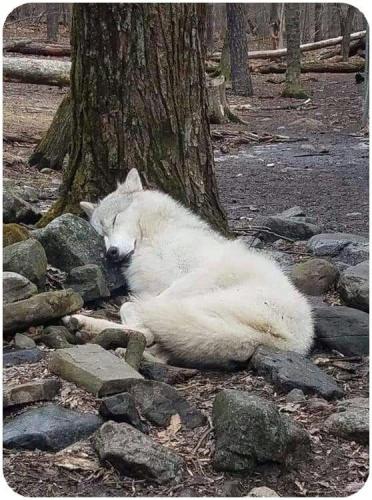 19:03:15 GMT-0600 (CST)