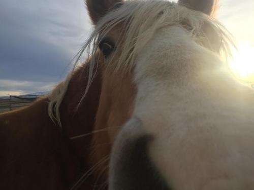 09:09:23 GMT-0800 (PST).image