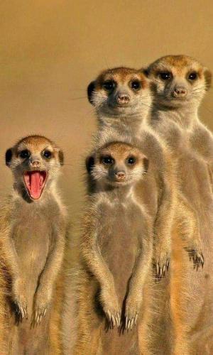 23:36:12 GMT-0600 (CST)