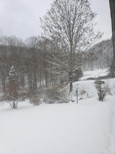 11:45:04 GMT-0500 (EST)