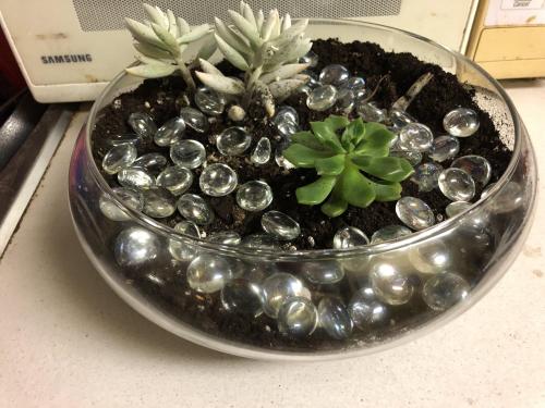 48FEF5D9-1AA6-4C32-AB47-214CEB2FF1A0