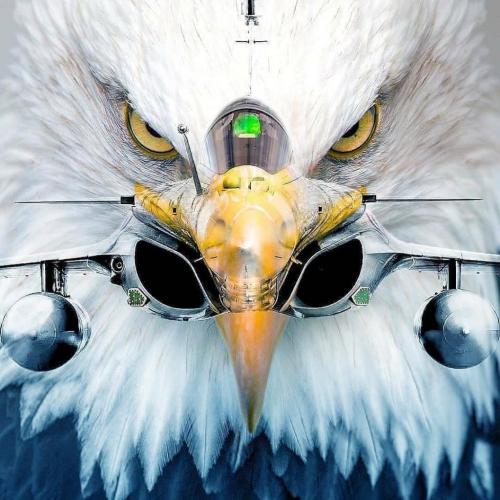 133691523_692129138161856_3062653739012021644_o