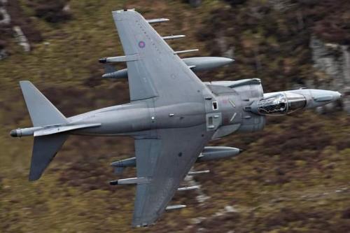 133537188_3628843460535181_5930983469380852334_n