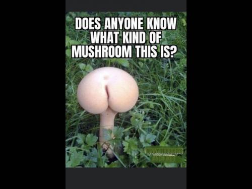 18:32:16 GMT-0600 (CST)