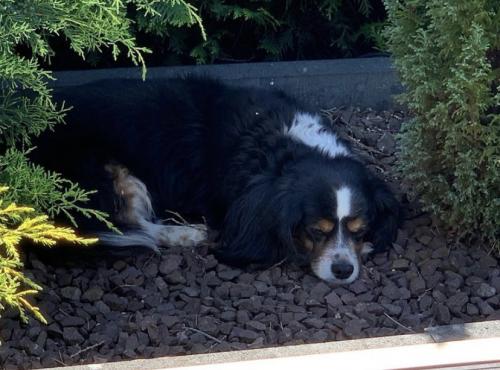 15:06:16 GMT-0800 (PST).image