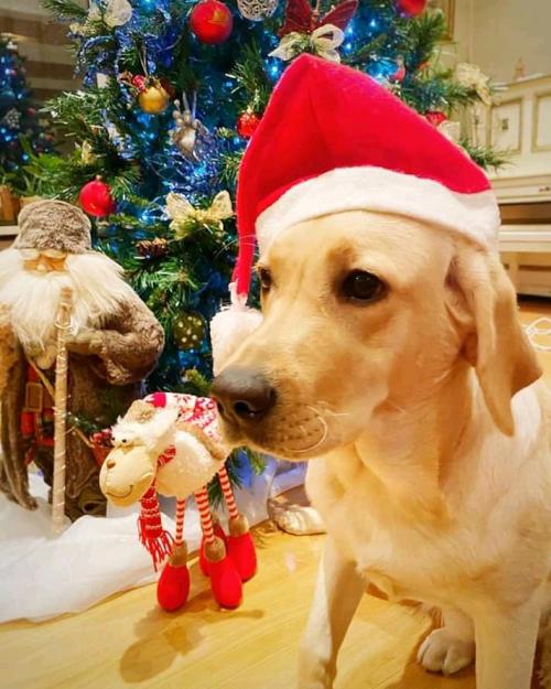 04:46:28 GMT-0800 (PST).image