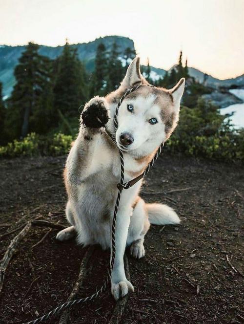 08:46:39 GMT+0100 (WAT).image