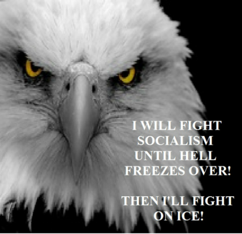 fight on ice eagle