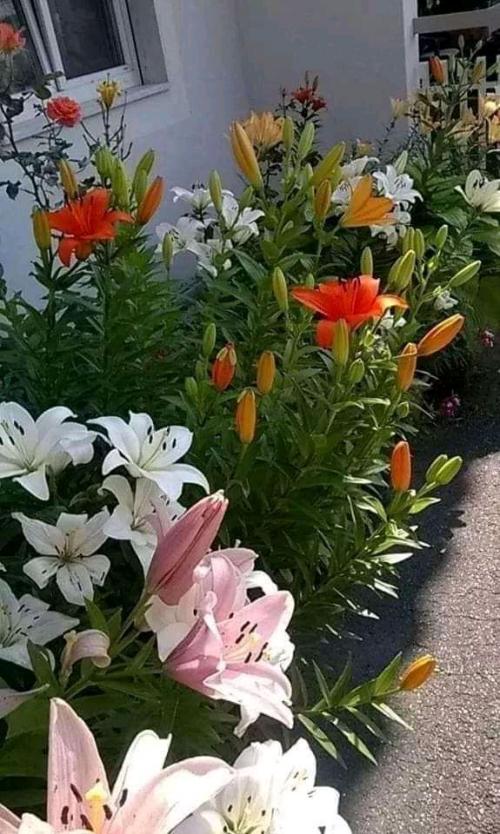 04:52:44 GMT+0100 (WAT)