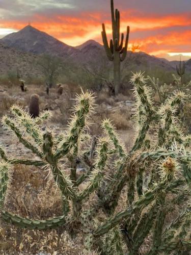 130900570_10215545136696257_8477162612810271677_n