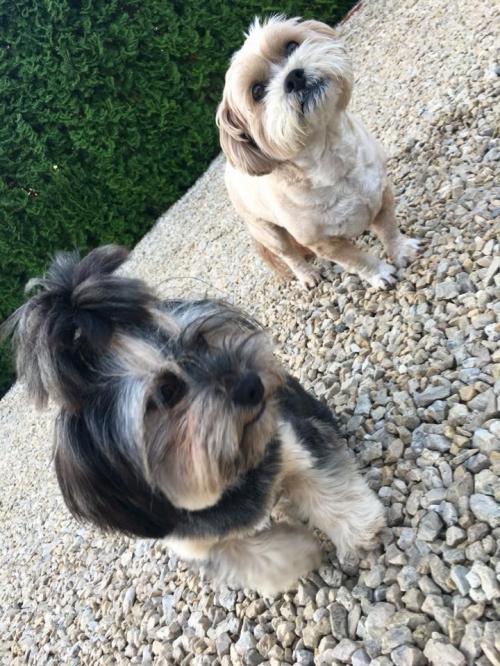 10:25:41 GMT+0100 (WAT).image