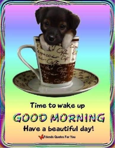 16:10:31 GMT-0600 (CST)