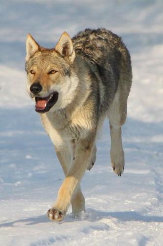 tumblr_8261bdcca85c135a9992cf617a0db25d_b1a6f011_540