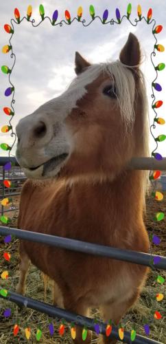 17:57:43 GMT-0800 (PST).image