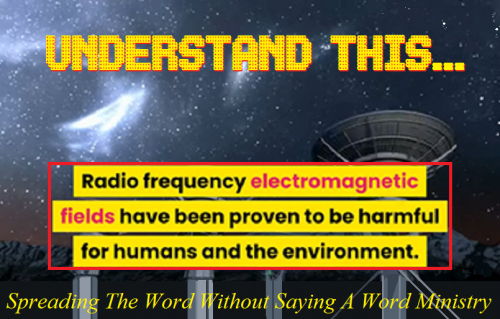 131771058_217360566537400_3794241008958659014_n