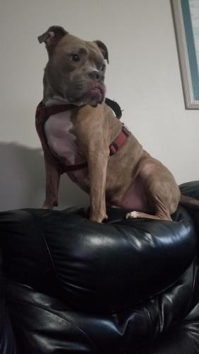 15:13:17 GMT-0600 (CST)