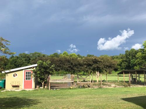 08/06/2018 Hoo Hoo Acres