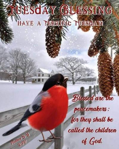 09:09:57 GMT-0600 (CST)