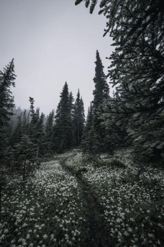 tumblr_6a38bb360843fc86cbbdac46741480c1_58aac399_540