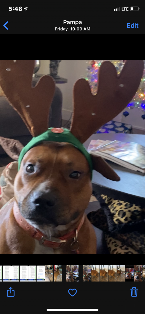 06:06:31 GMT-0600 (CST).image