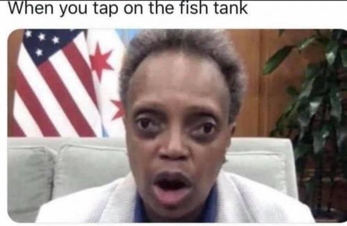 11:17:54 GMT-0500 (EST).image