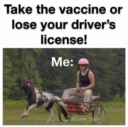 23:01:22 GMT-0500 (EST).image