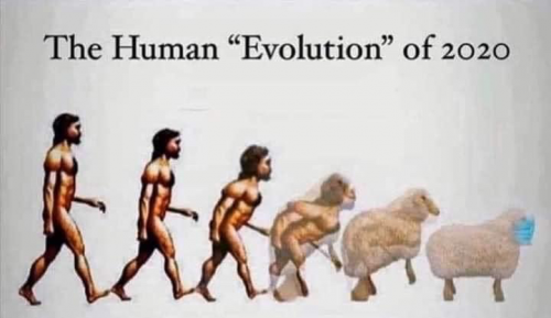 Covid-19 Human Evolution 2020