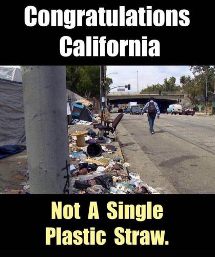 C707D867-4CD9-4F87-915F-1EFF00621D5E-27010-0000142A55A4D838